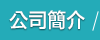 公司簡介